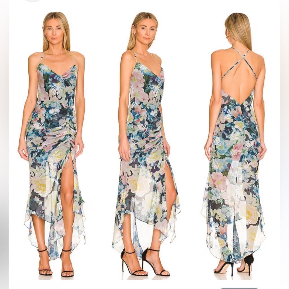 Sau Lee dress Freida Blue Floral Butterfly Print ruched drawstring gown Sz 6